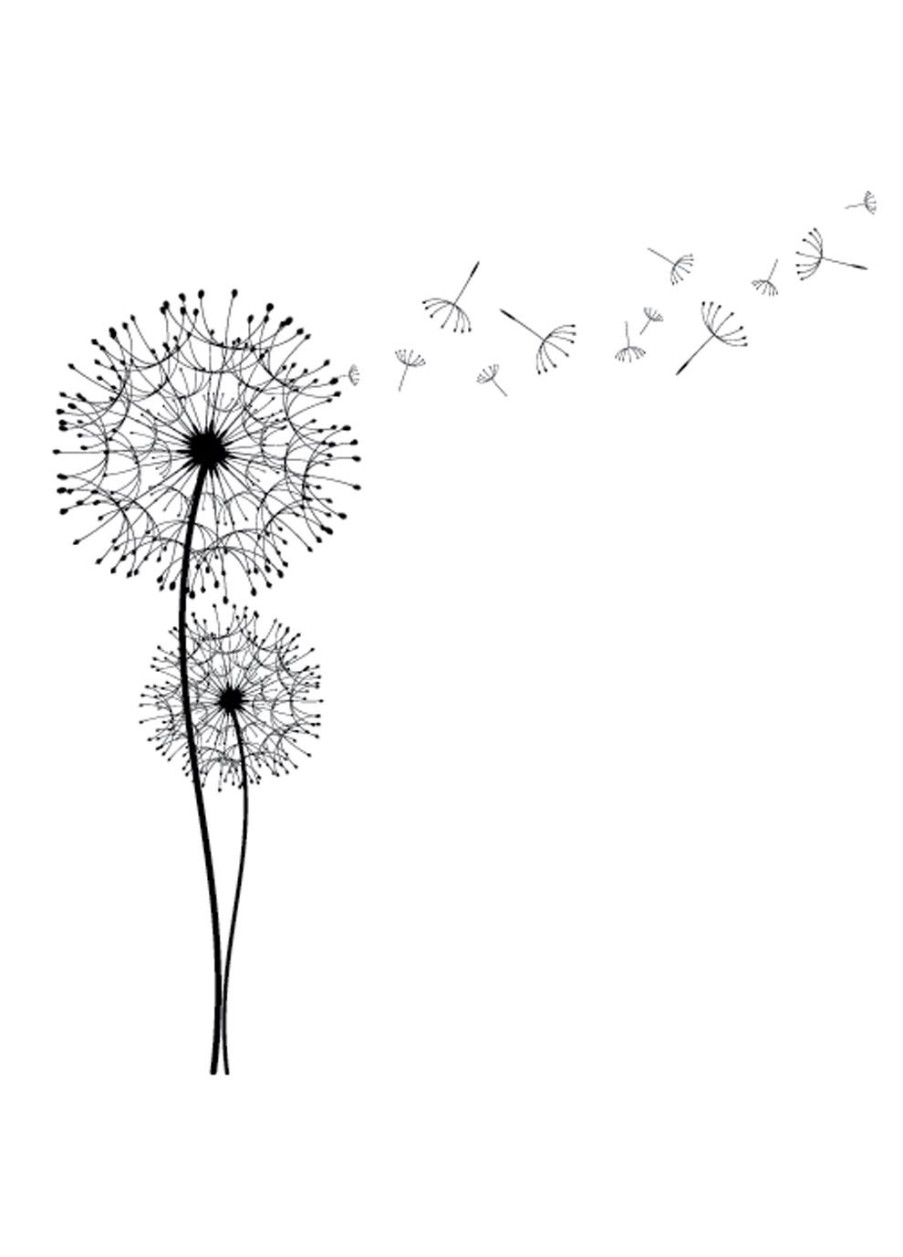Одуванчик рисунок