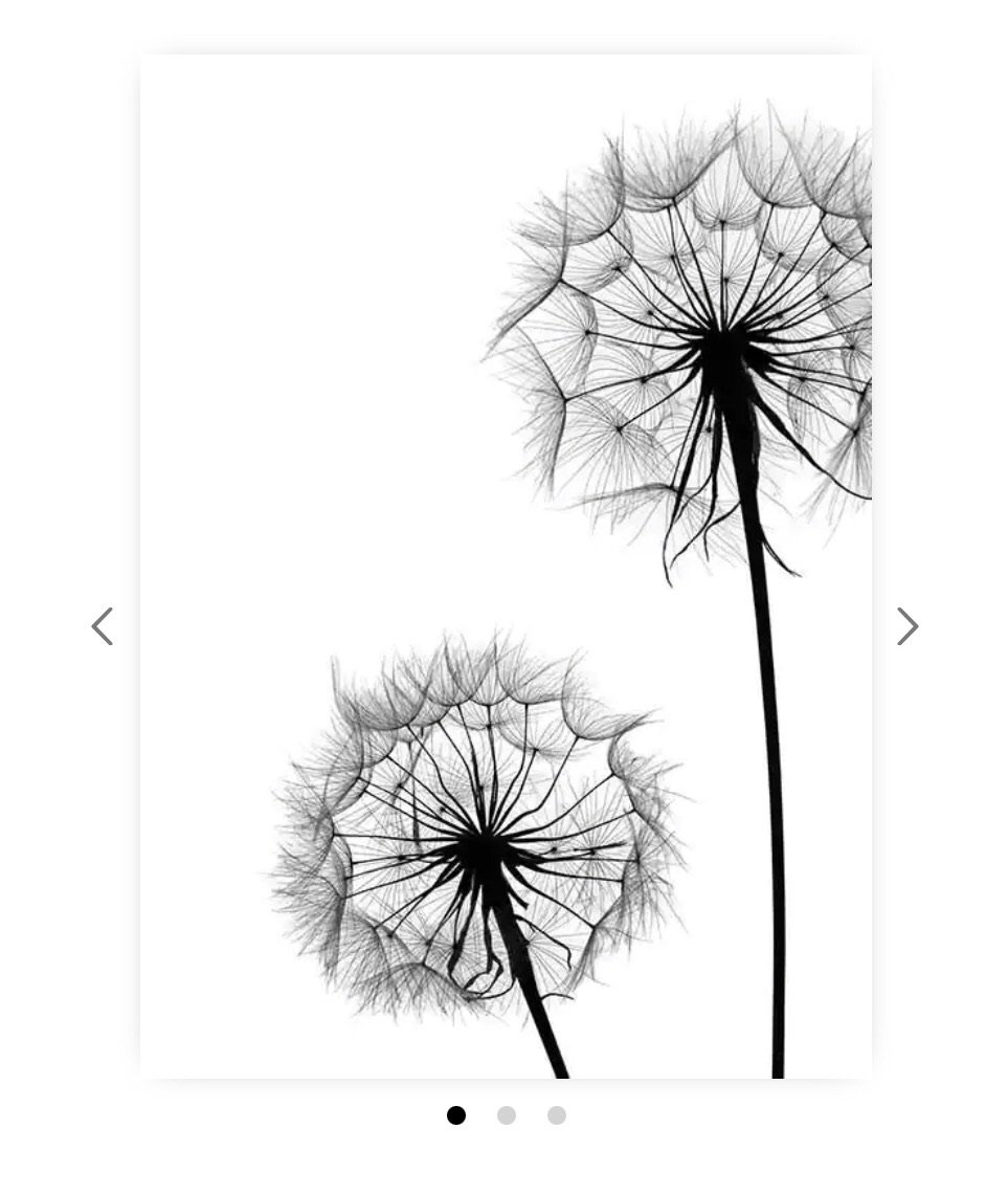 Одуванчик чб