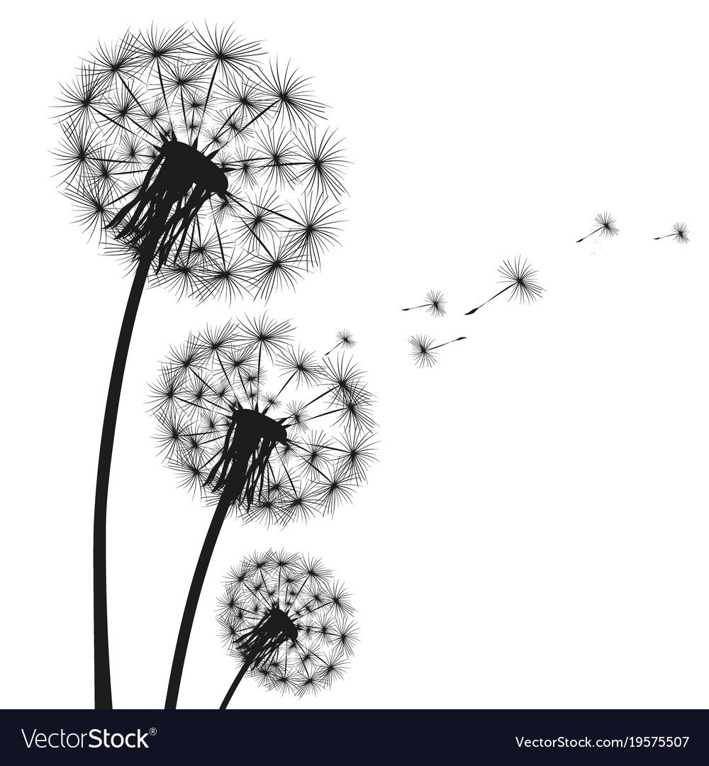 Силуэт одуванчика на стене