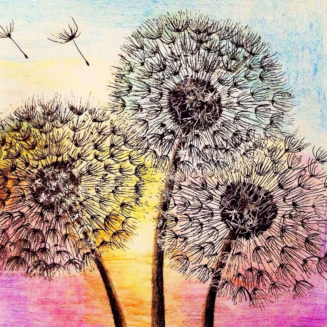 Одуванчик фломастером