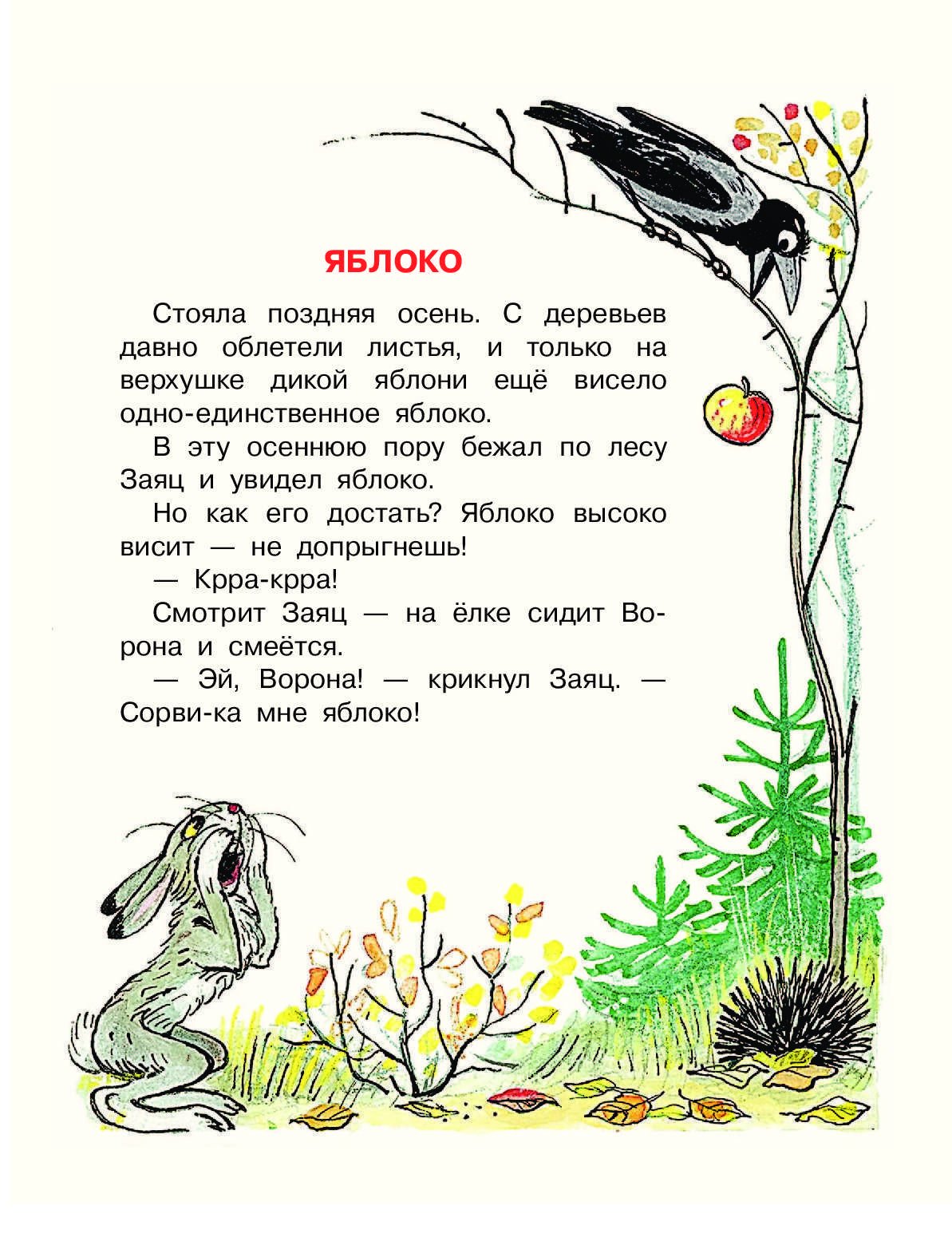 50 Коротких сказок для самых маленьких в.Сутеев книга