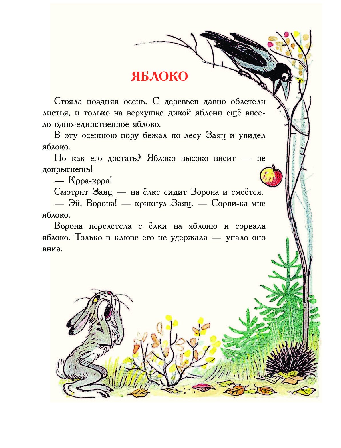 Сочинение как заяц Ежик и сорока яблоко делили