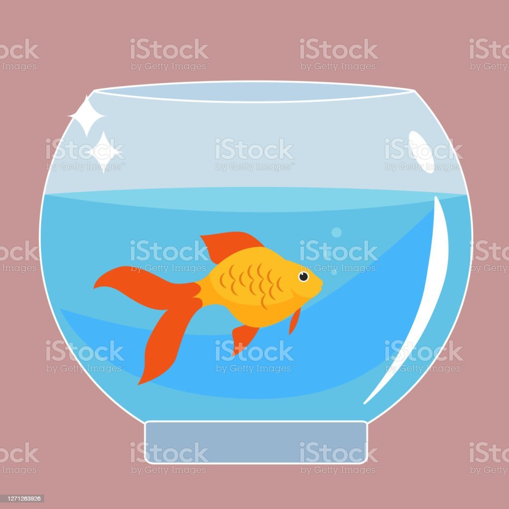 Аквариум с рыбками для срисовки