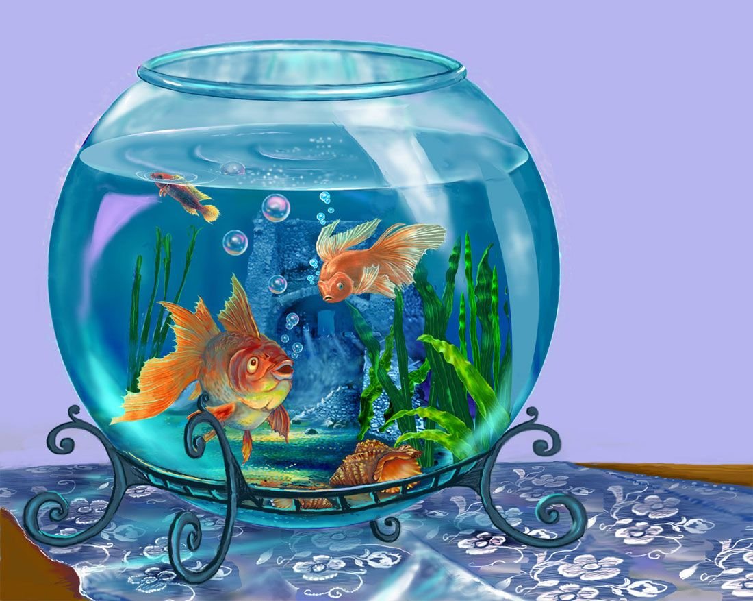 Грибок в аквариуме