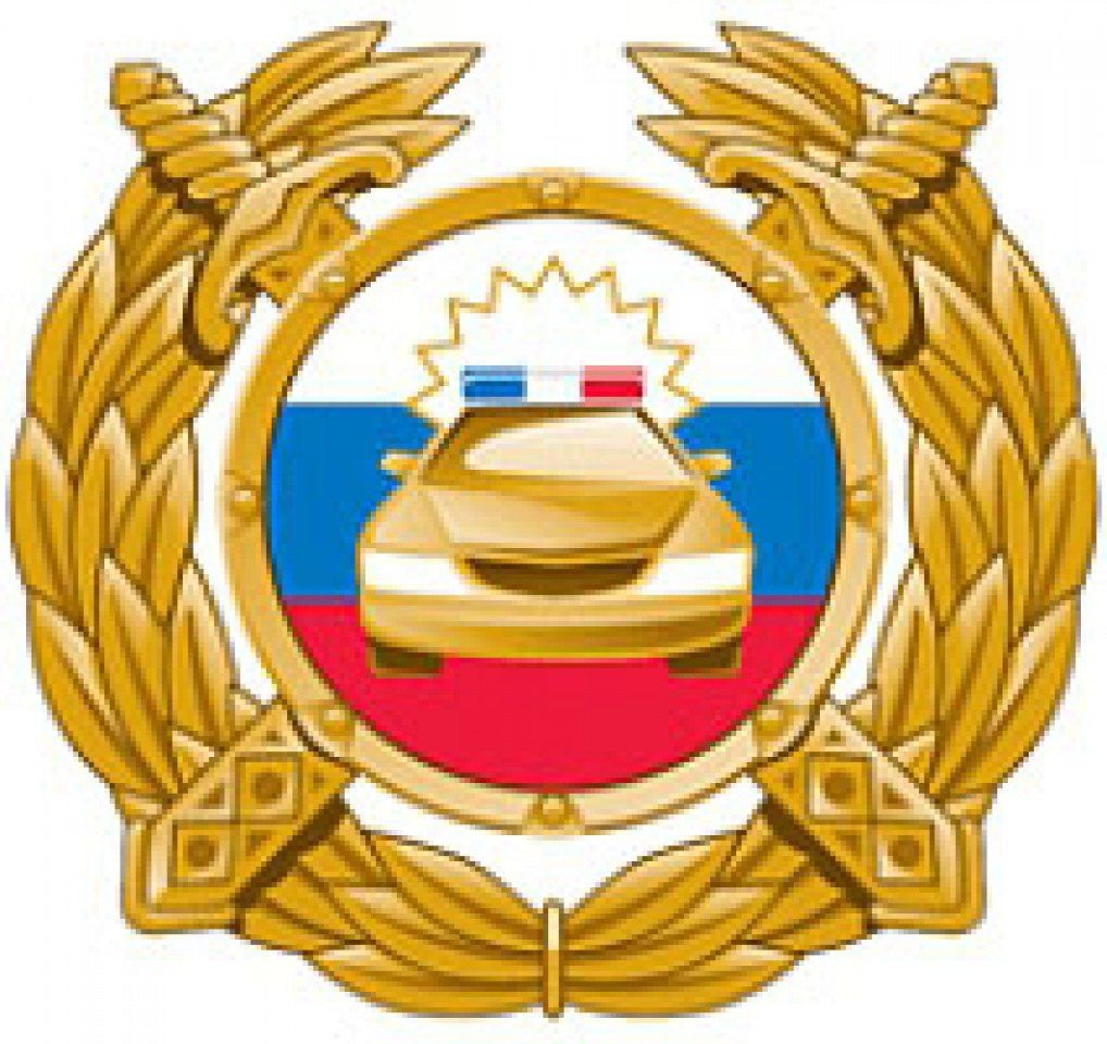 Нагрудный знак ДПНСИ