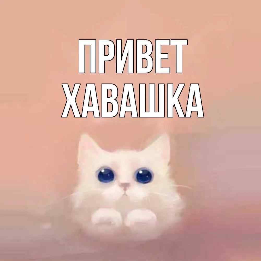 Отличного дня Стикеры.