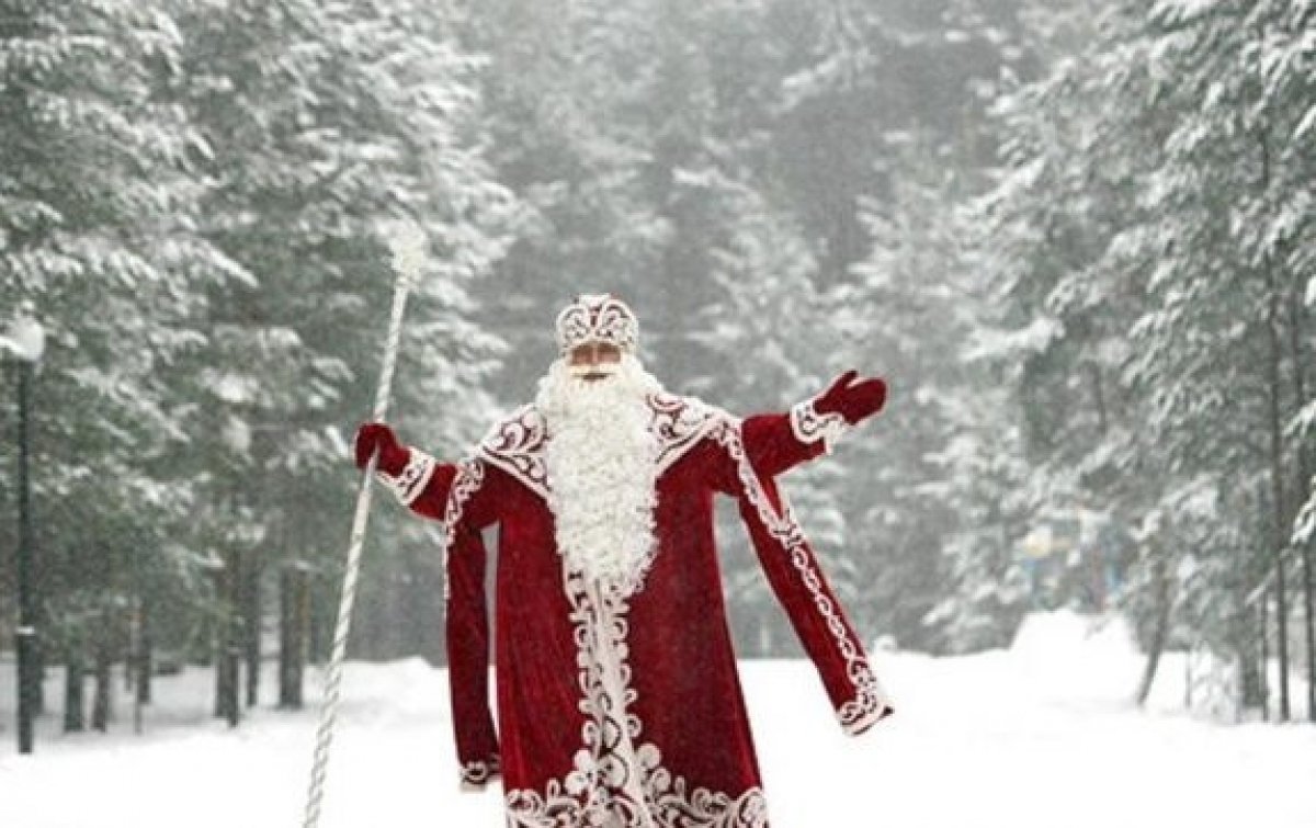 Дед Мороз в лесу