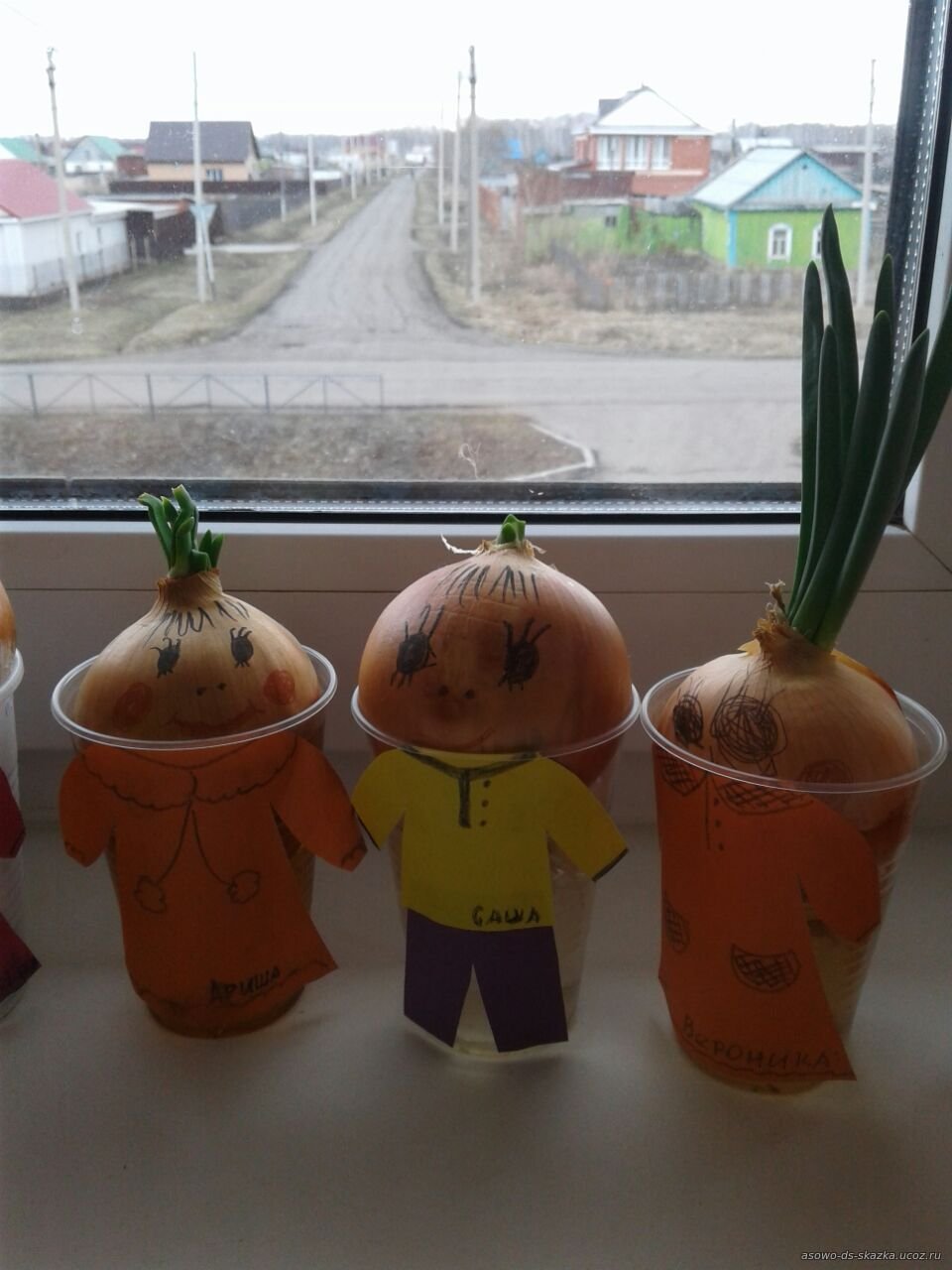 Лук Чиполлино