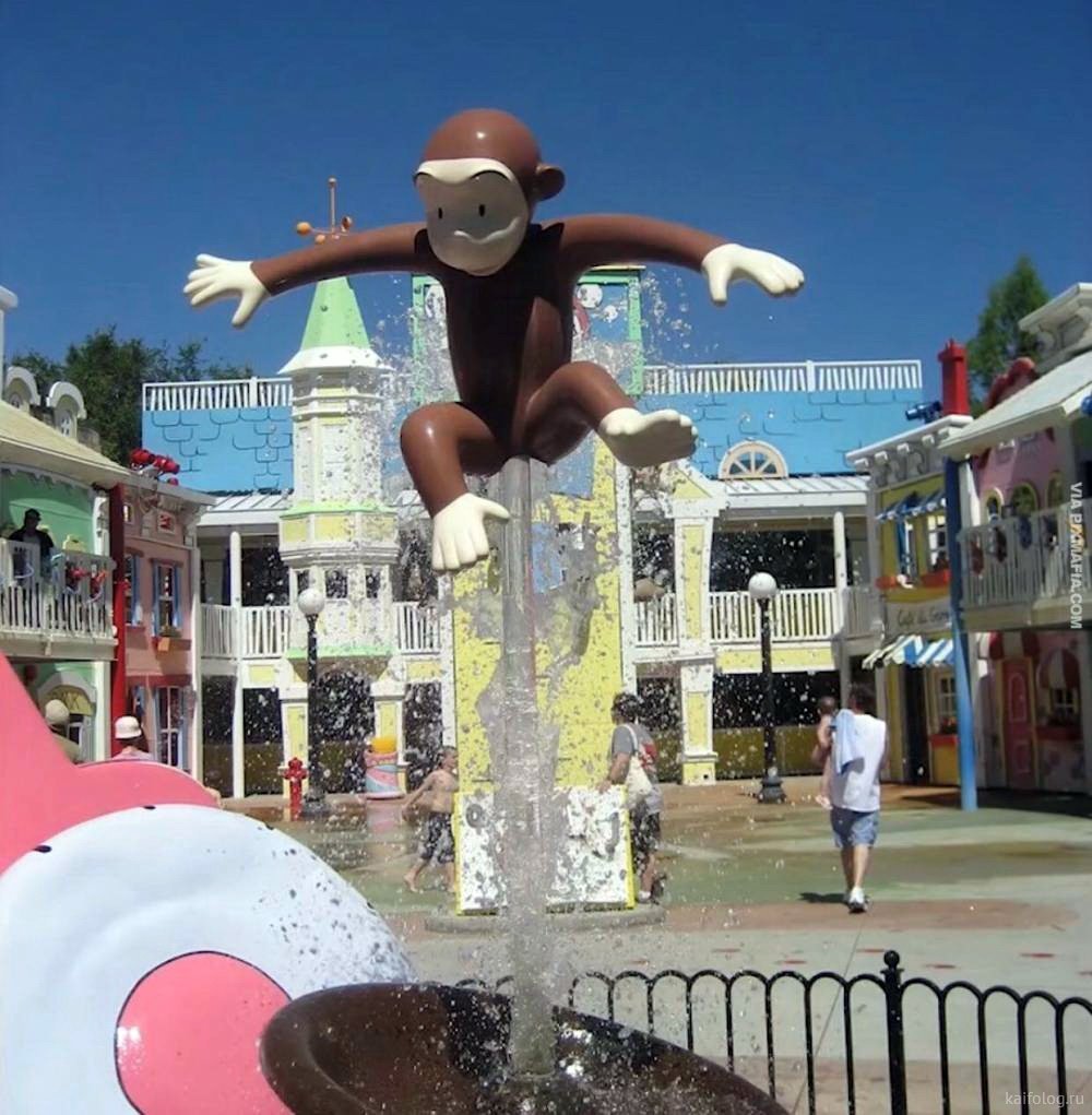 Сочи смешные фото