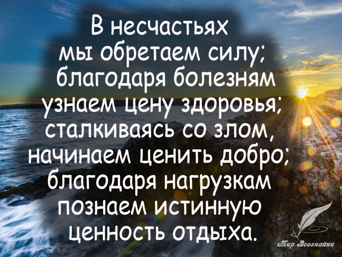 Цитаты о ценности жизни