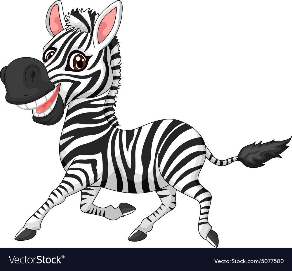 Зебра мультяшная на белом фоне
