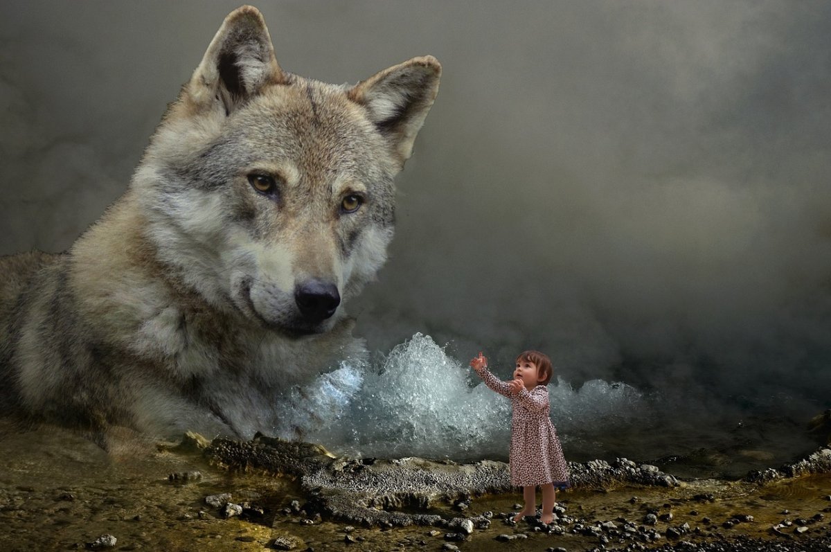 Добрый волк