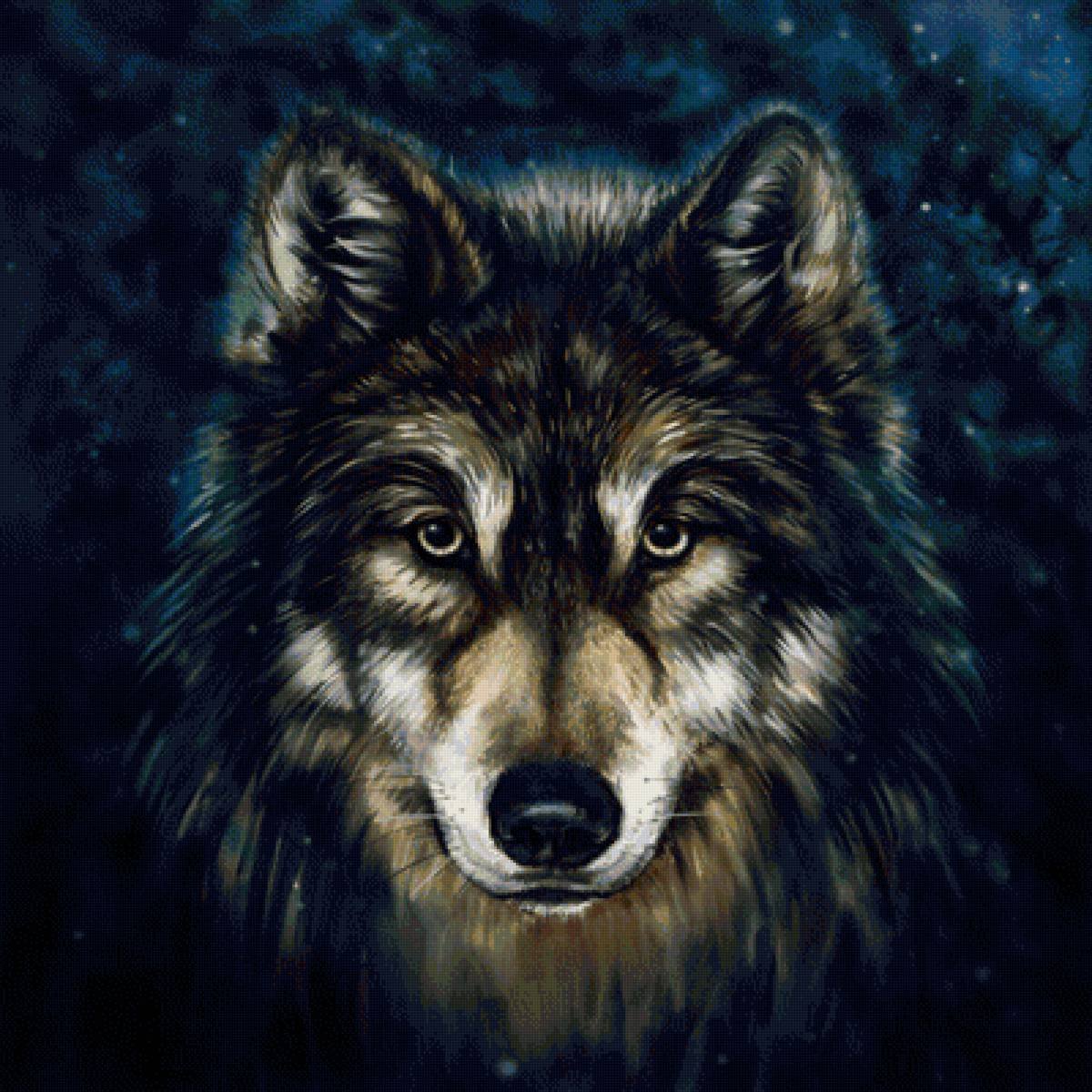 Красивая морда волка