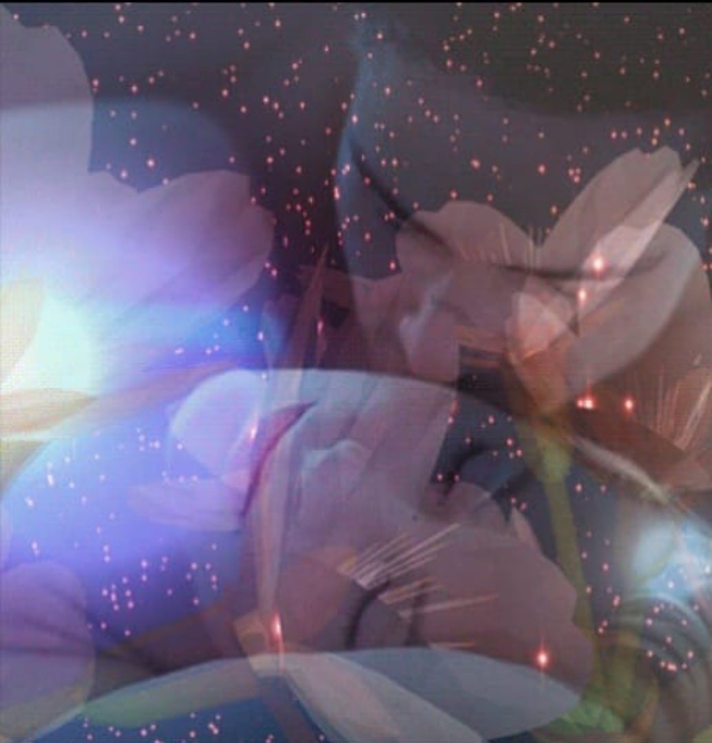 Приятных снов море