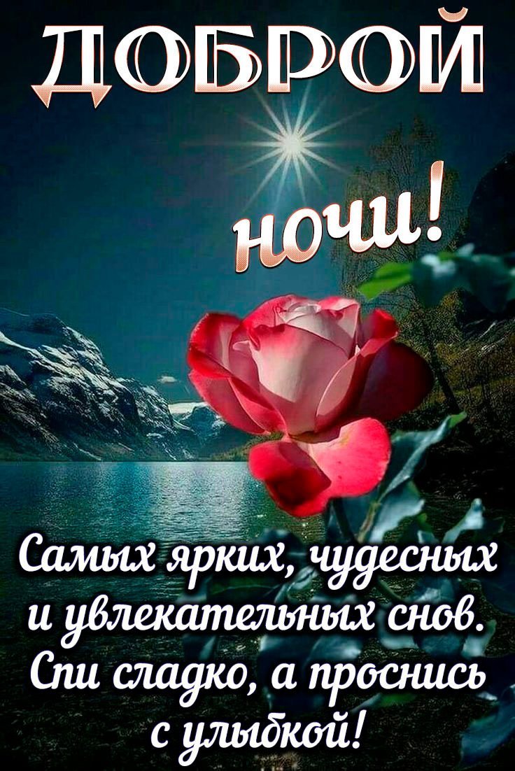 Сладких добрых снов