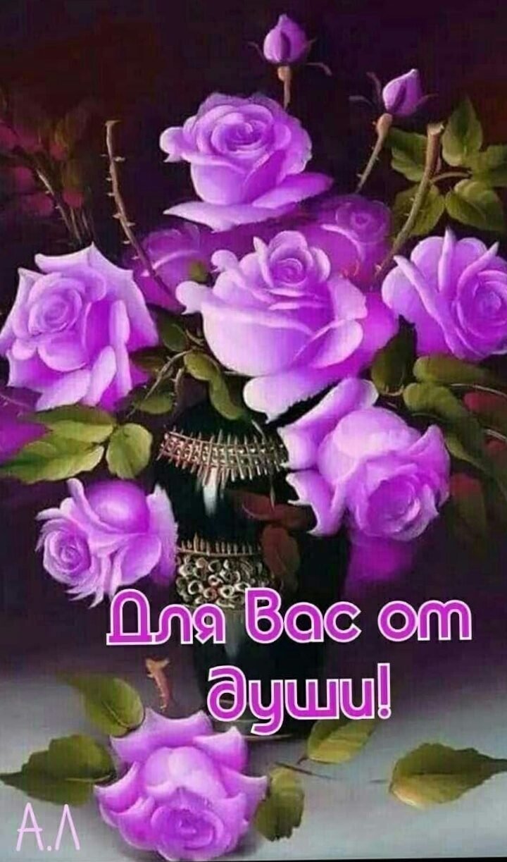 Спокойнойнлчи любимая