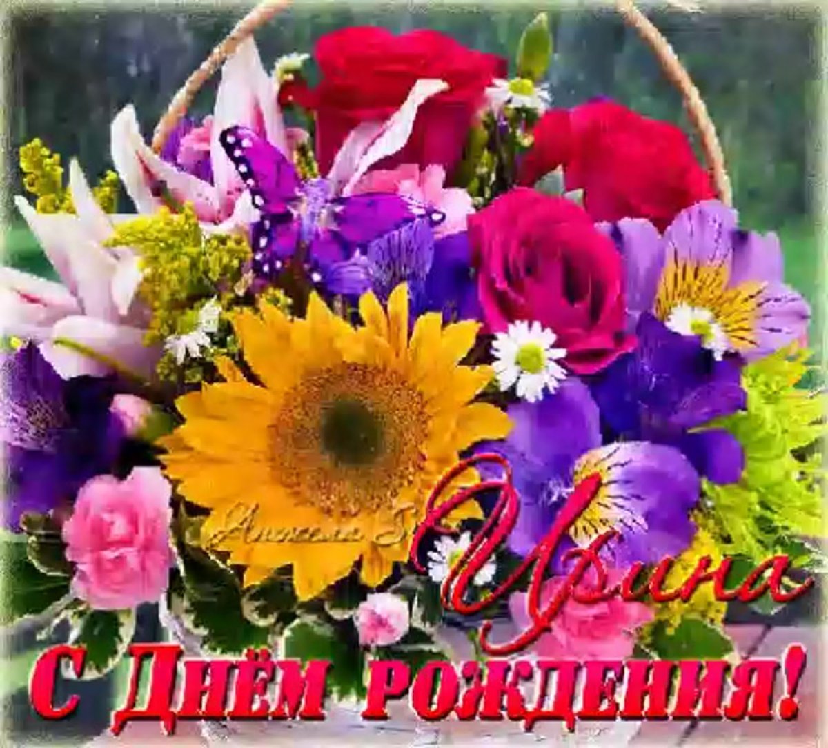 Поздравления с днём рождения ирне