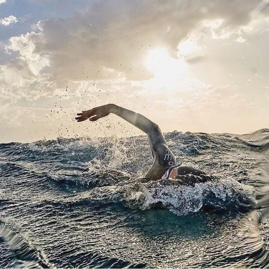 Плавание логотип