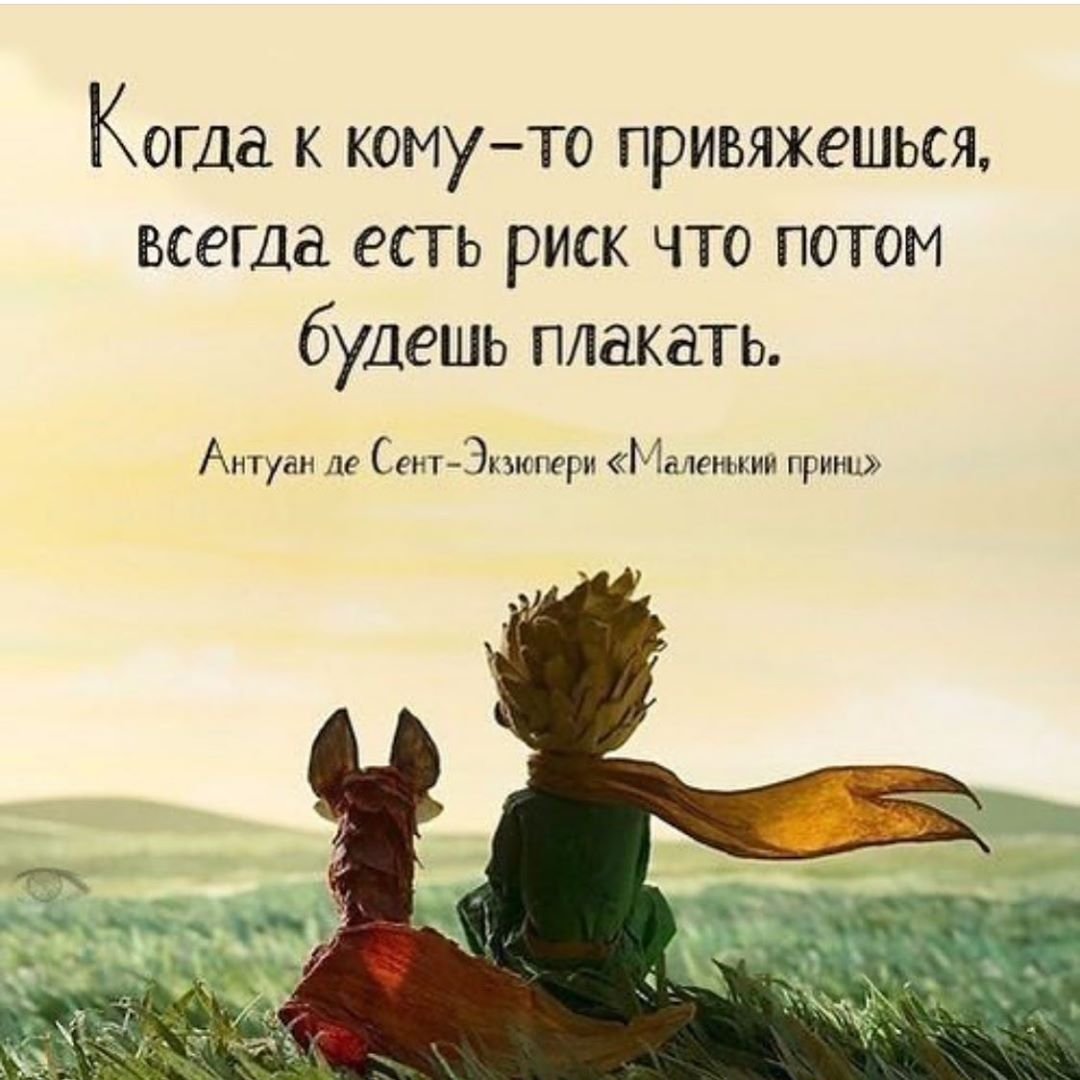 Цитаты из сказки маленький принц