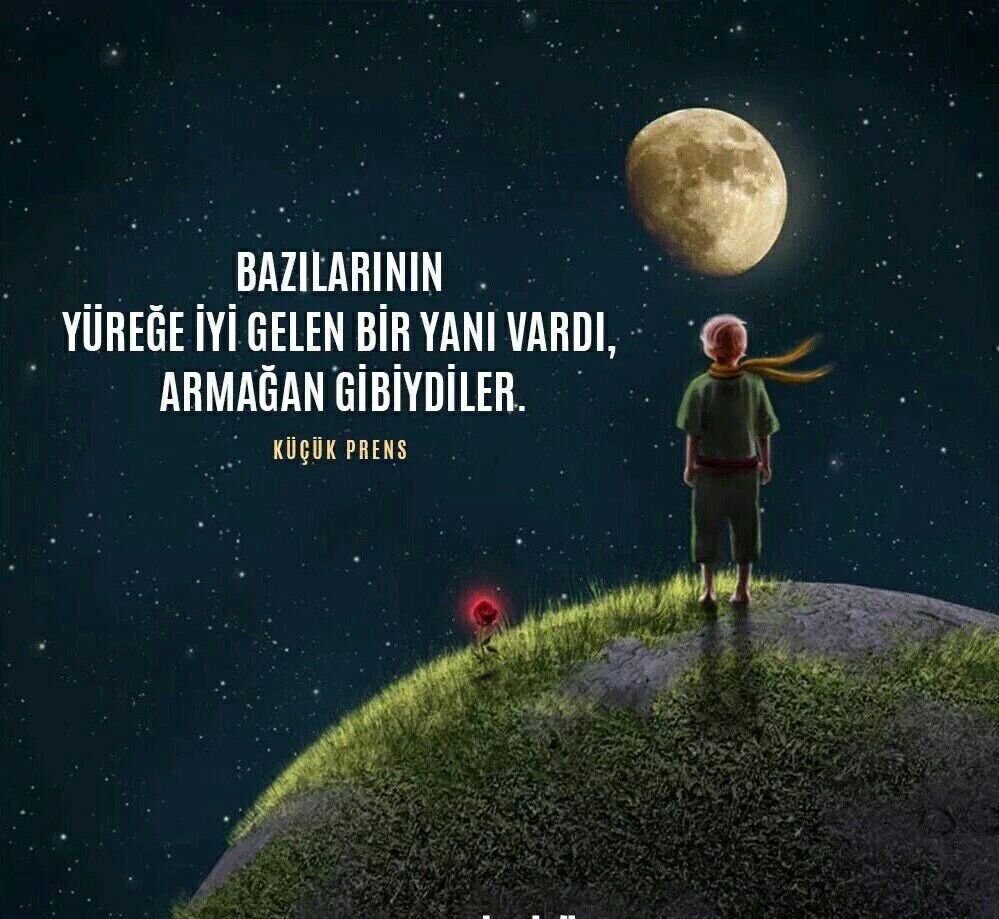 Цитаты из книг