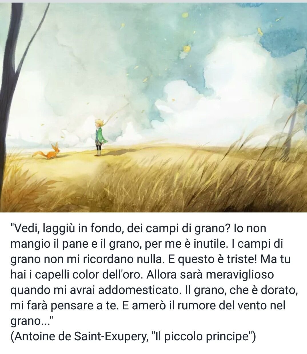 Маленький принц цитаты на французском