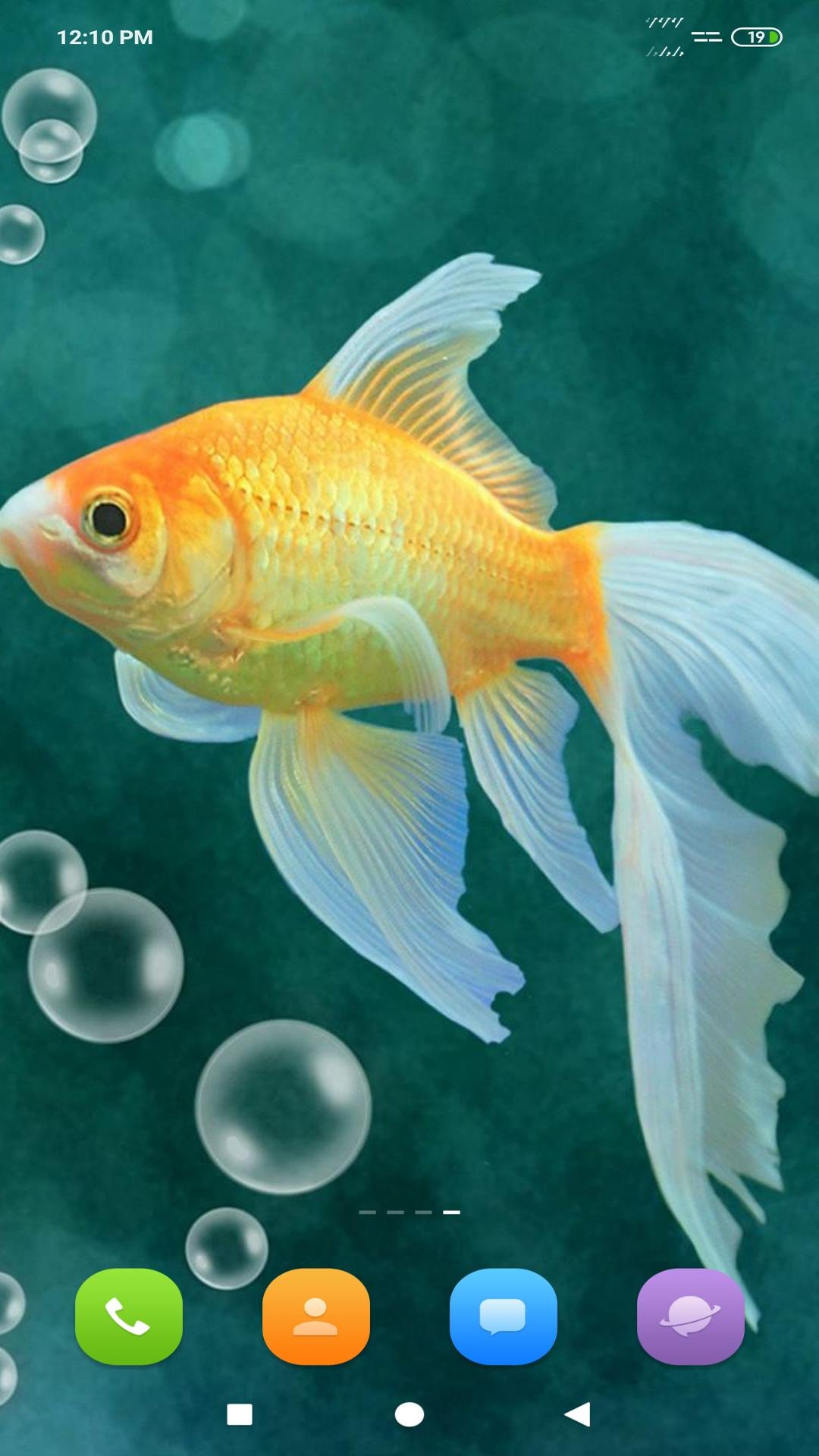 Рыба с Яной водой Угадай