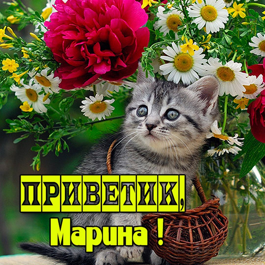 Приветик Иришка