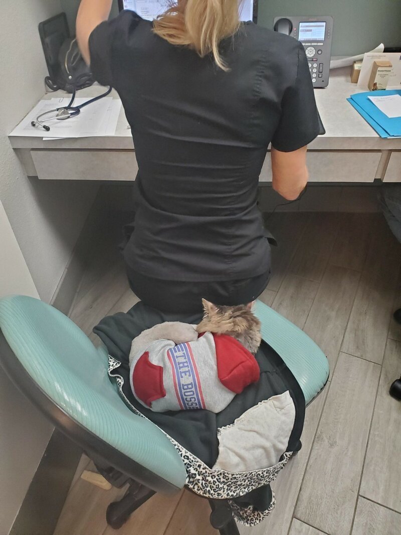 Рабочее место прикол