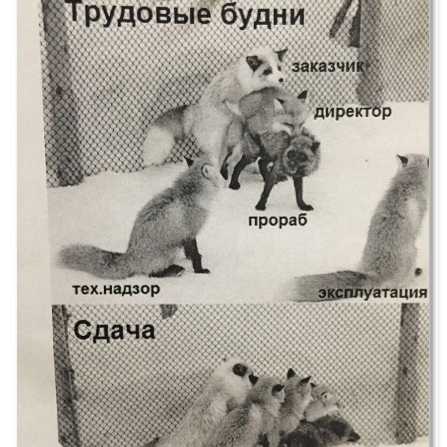 Трудовые будни рисунок