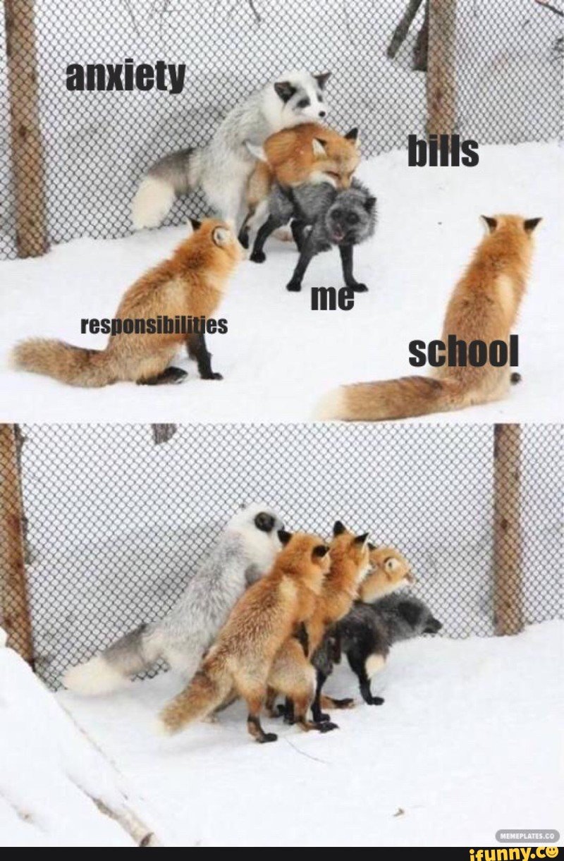 Стройка ожидание реальность