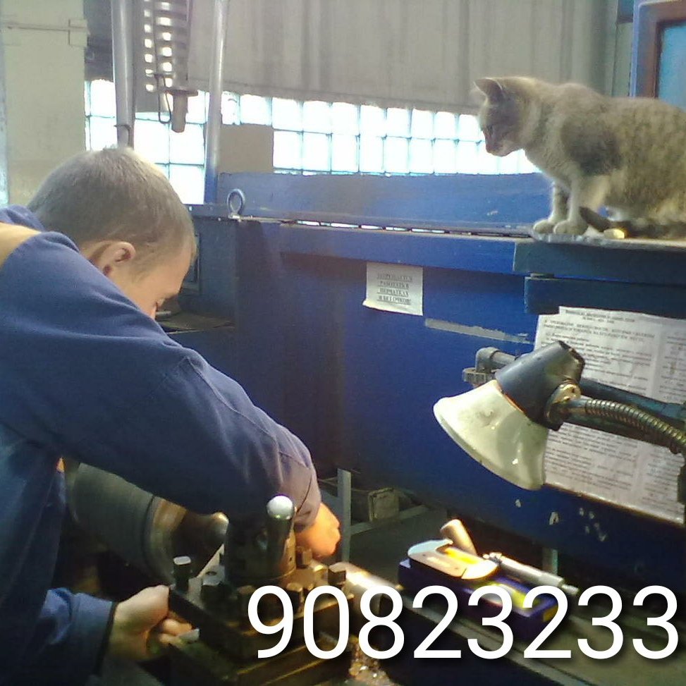 Серенький волчок