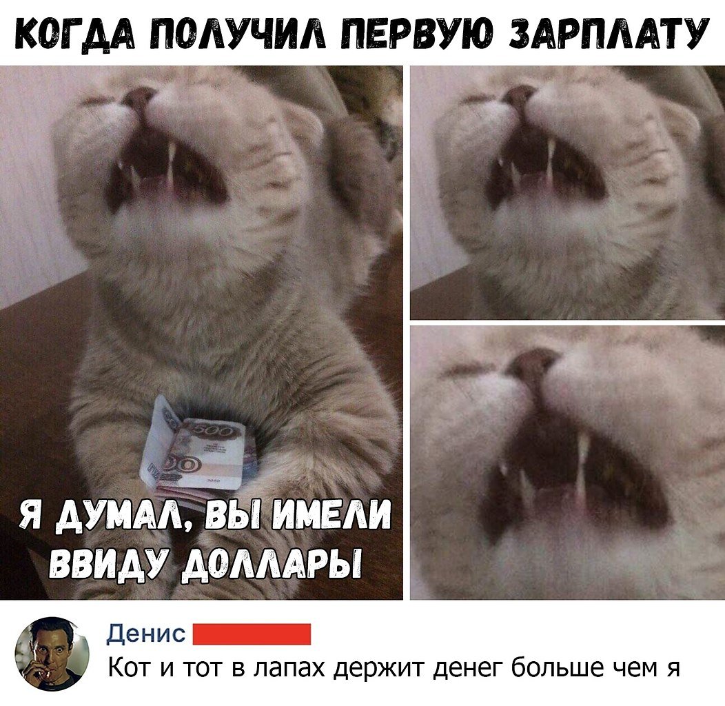 Когда получил первую зарплату