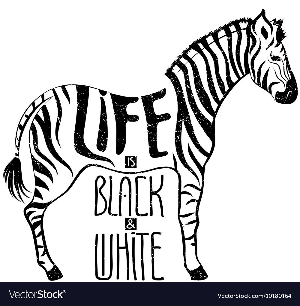 Легкий рисунок зебры в черно белом цвете