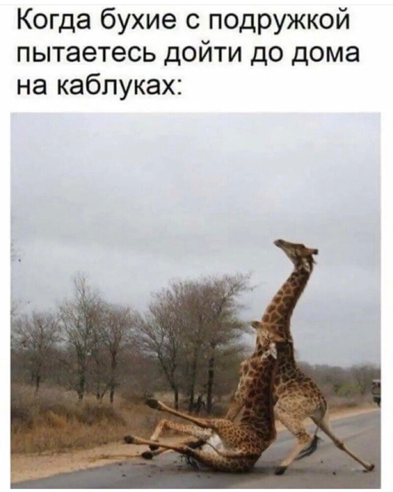 Домой с работы прикольные