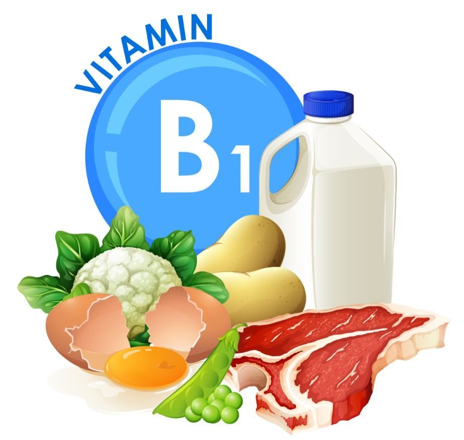 Витамин в1 рисунок