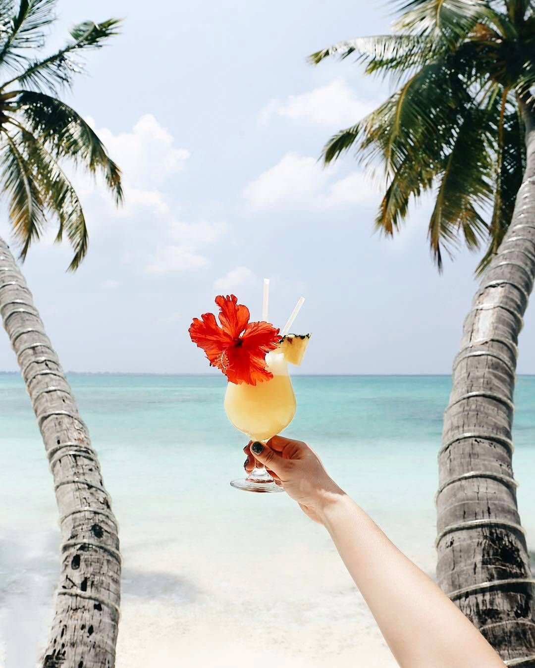 Доброе утро пальмы и море