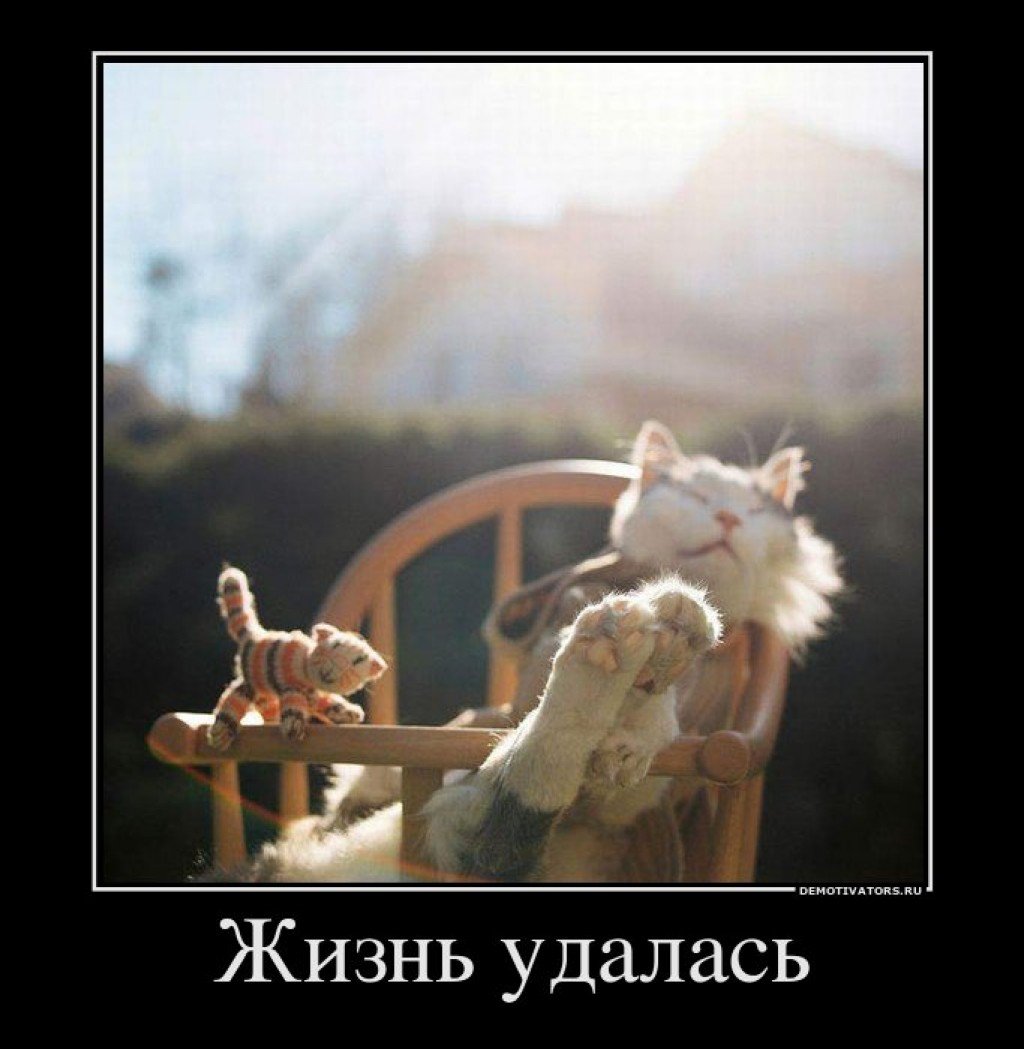 Даже если в жизни жопонька