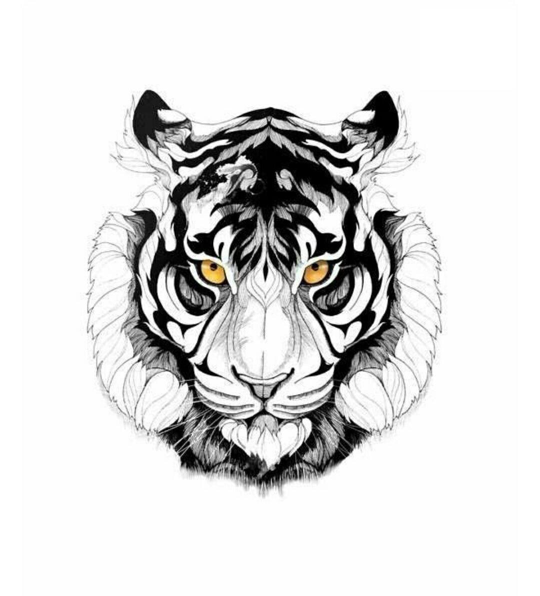 Тигр тату эскиз черно белый