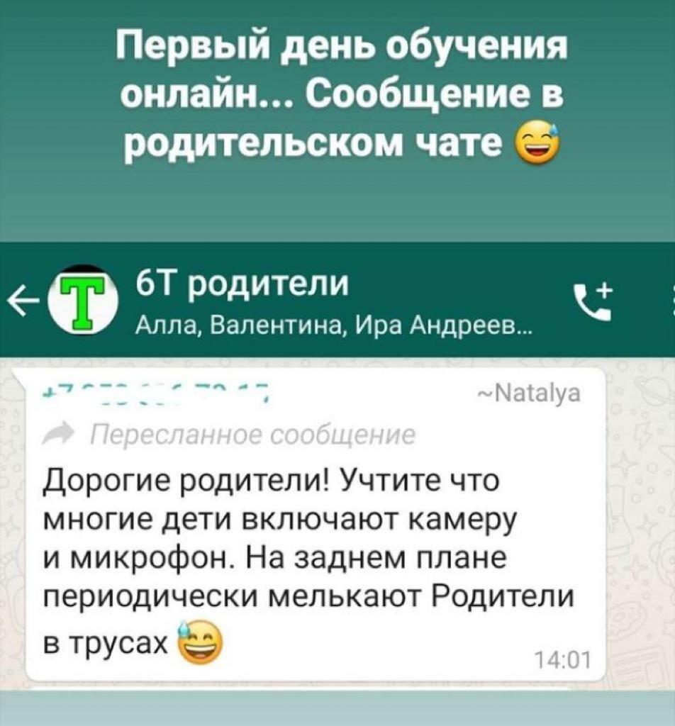 Смешные переписки про Дистанционное обучение