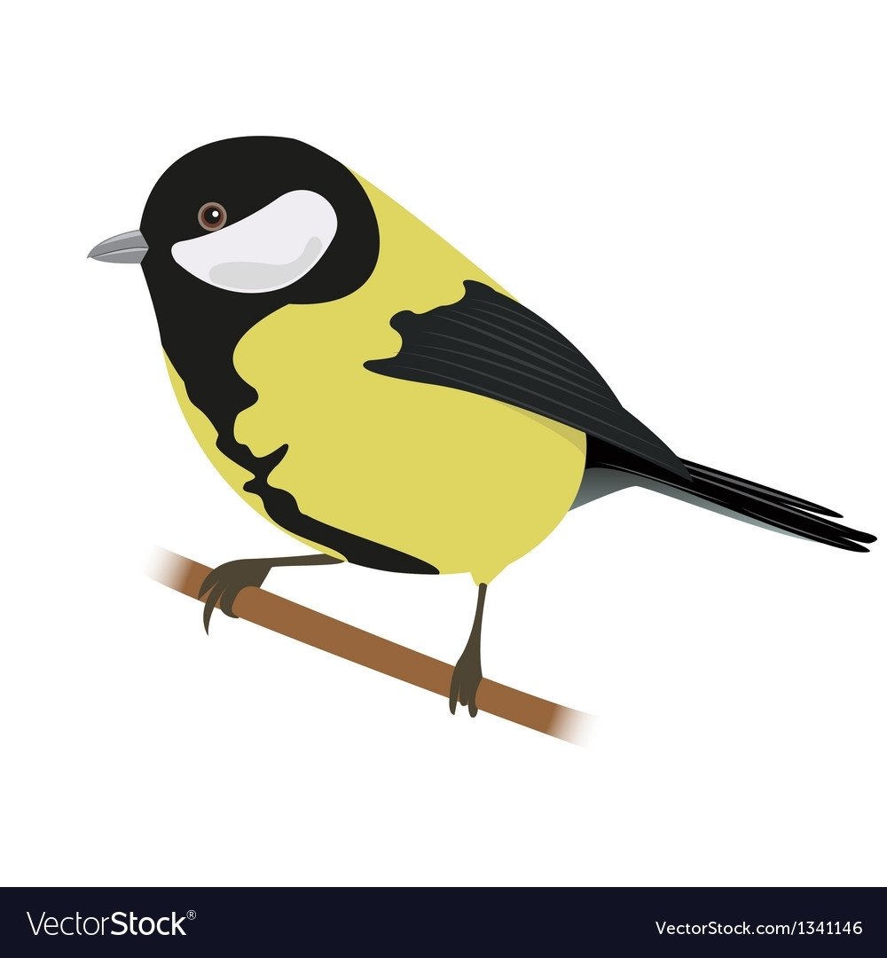 Синички для вырезания