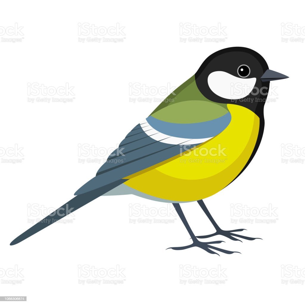 Синички мультяшные