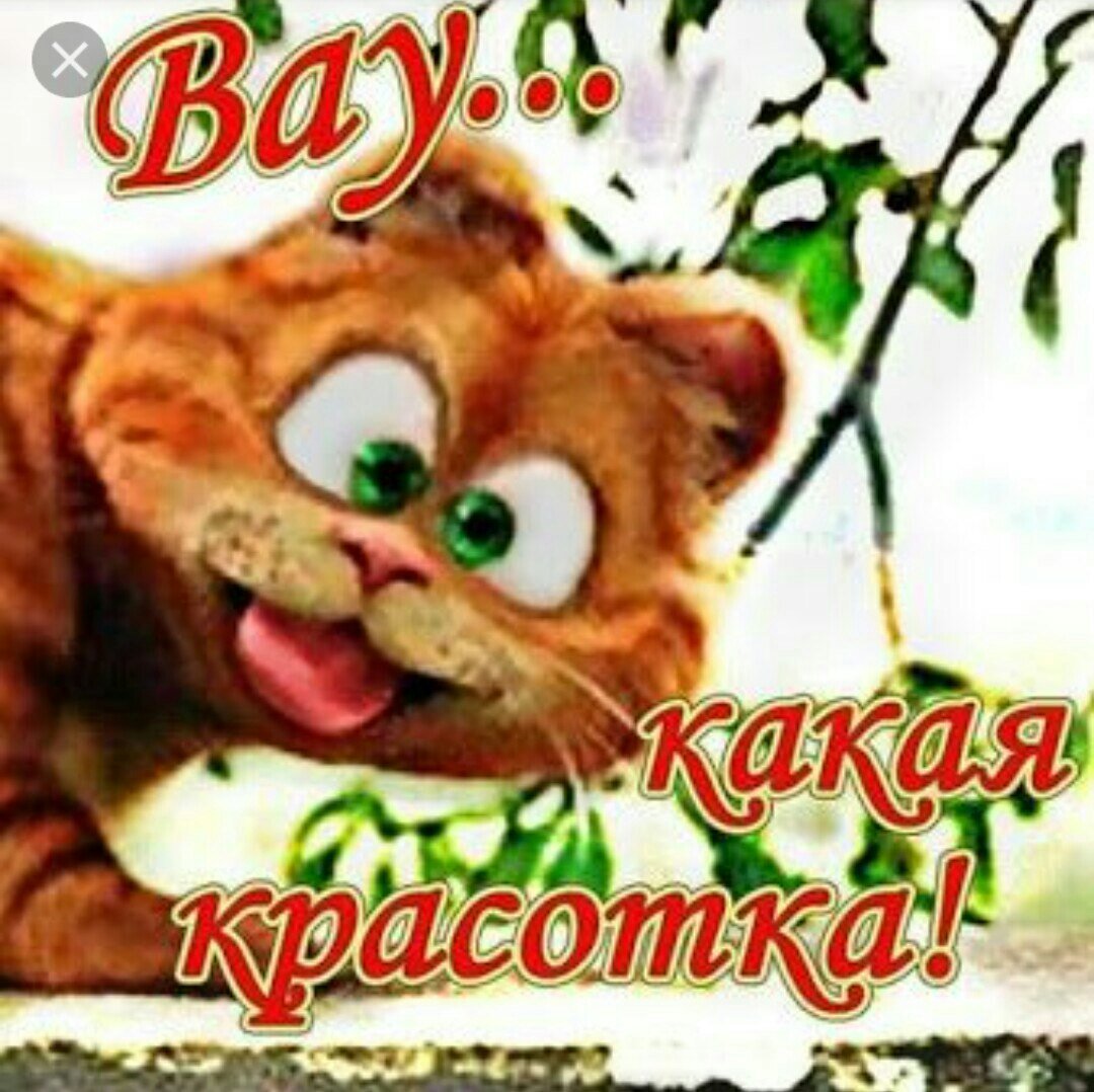 Вау какая красотка