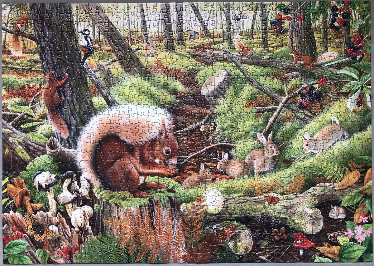 Лесные обитатели для детей