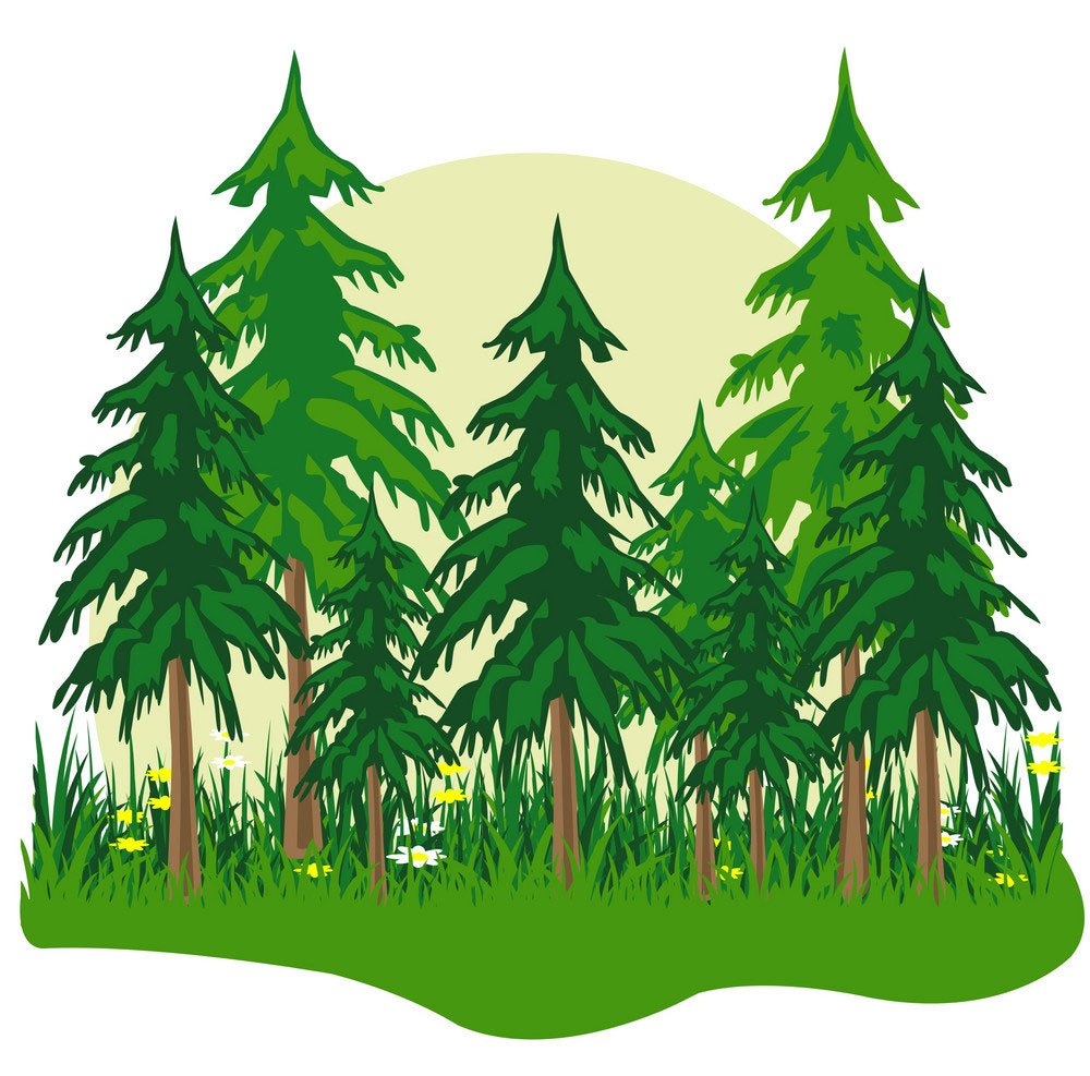 Рисунок леса