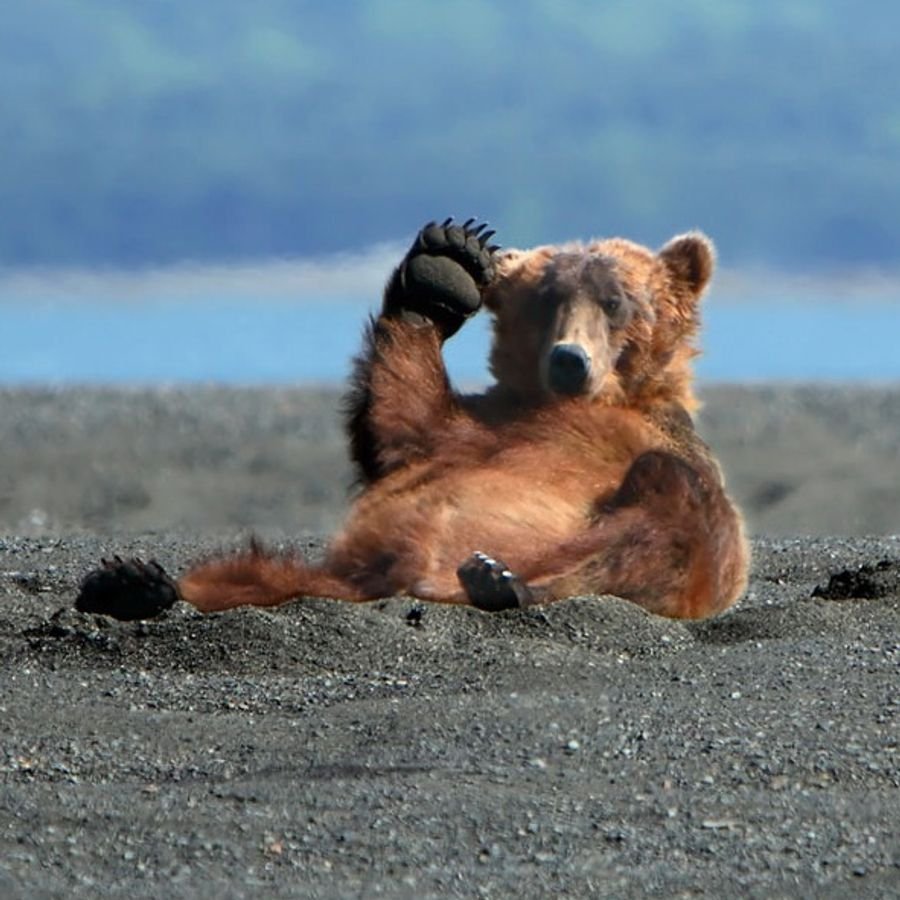 Чай по узбекски