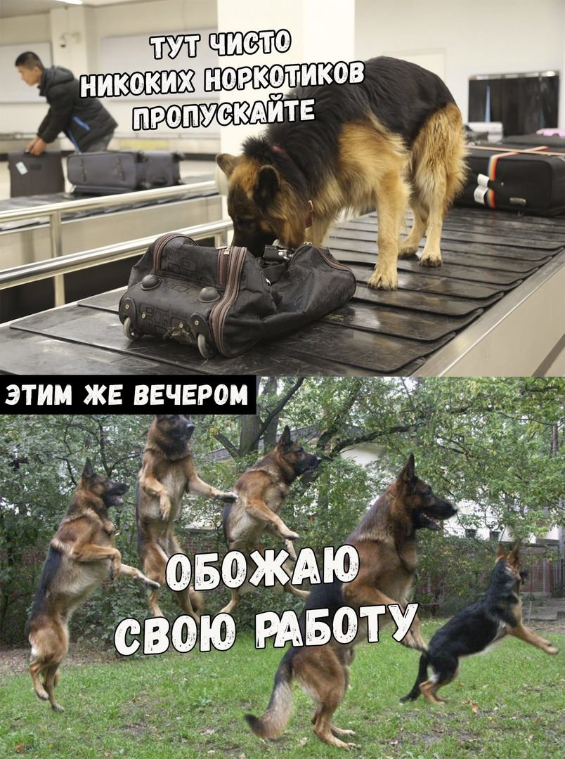 Приколы с надписями