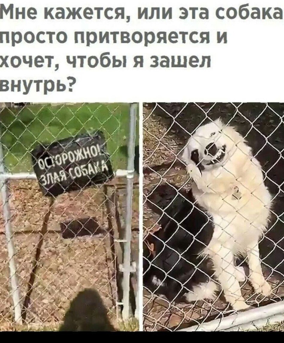 Приколы рисунки