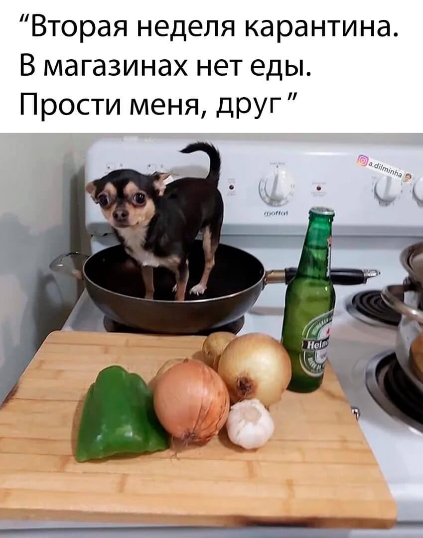 Современные приколы в картинках