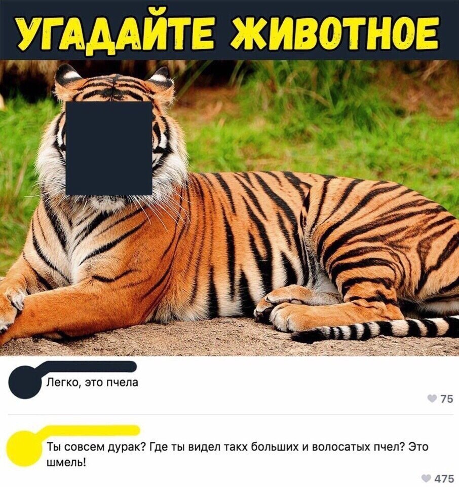 Смешные картинки с над