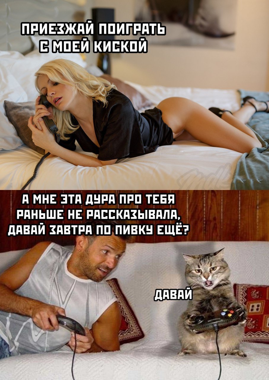 Самые ржачные приколы в картинках